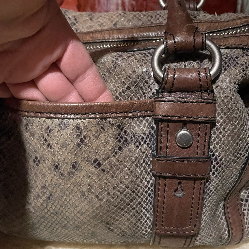 Fossil snakeskin bag - Picture 4 of 7